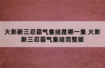 火影新三忍霸气集结是哪一集 火影新三忍霸气集结完整版